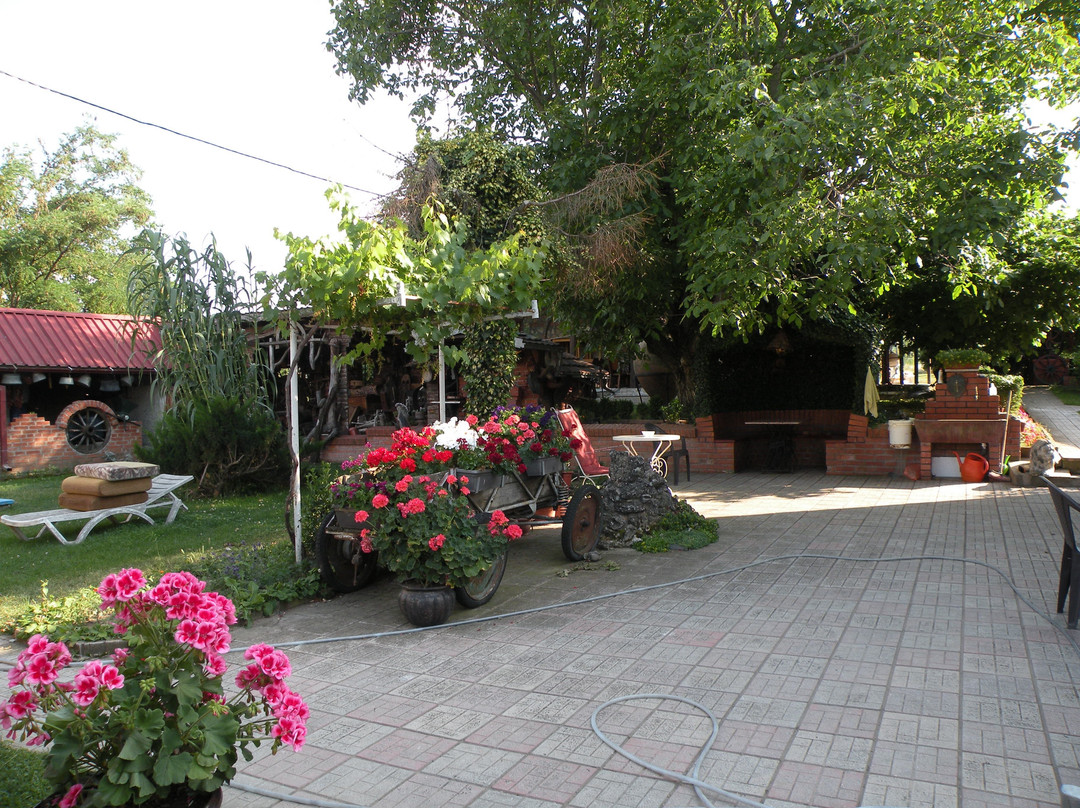 Auto & Ethno Museum Filip-Bitola必去景点