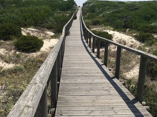 Sao Jacinto旅游攻略图片