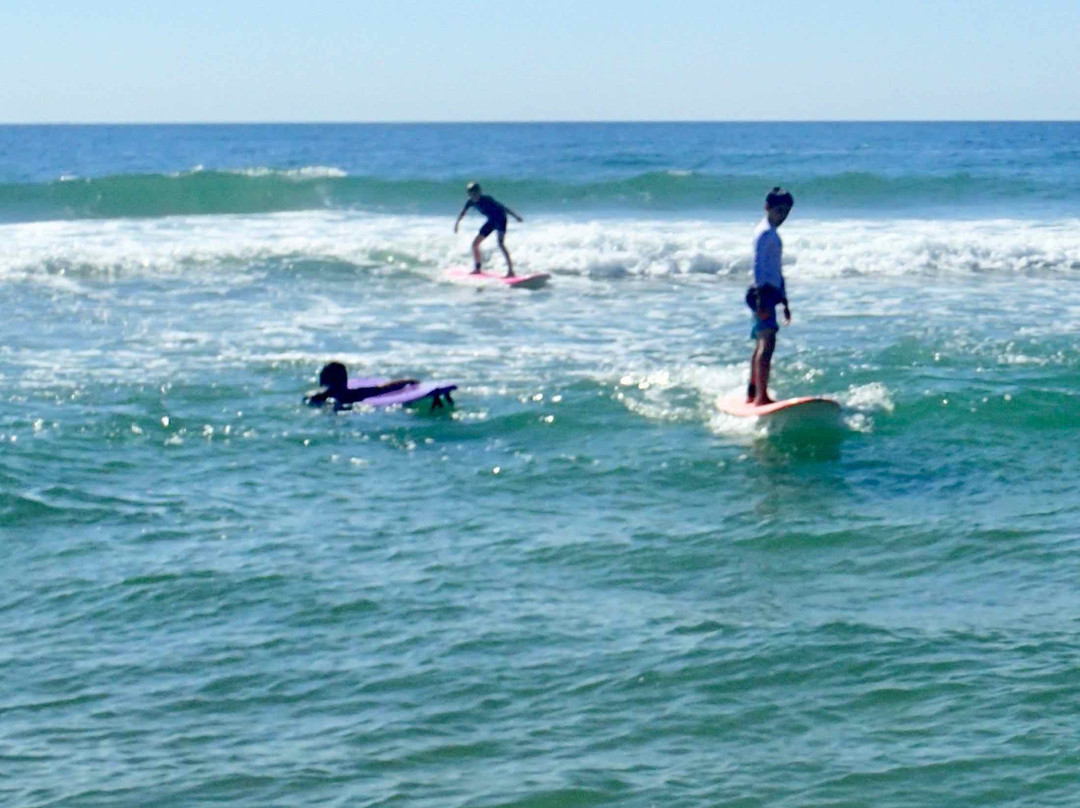 South End Surf 'N Paddle景点图片