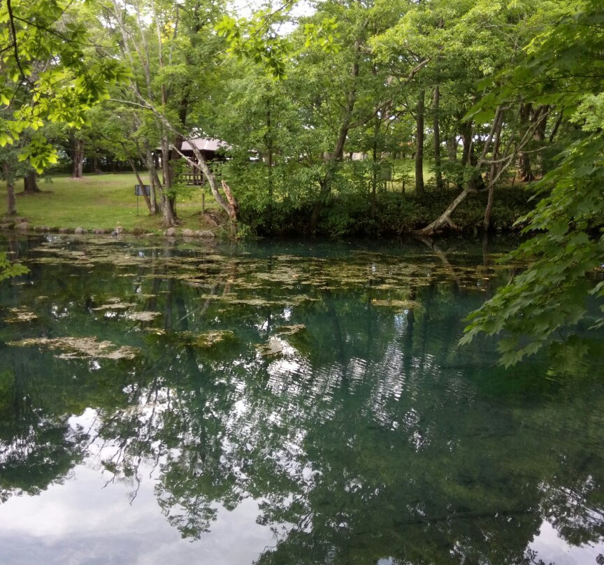 Torinuma Park-富良野市必去景点