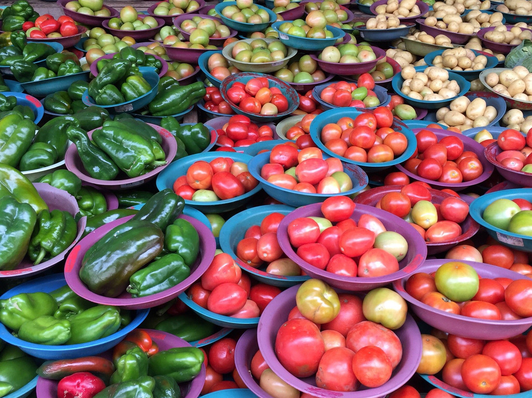 Ceasa-Vitoria da Conquista必去景点