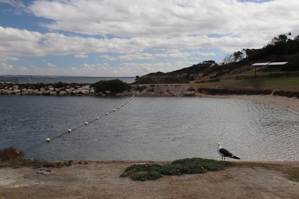Kingscote Tidal Pool景点图片