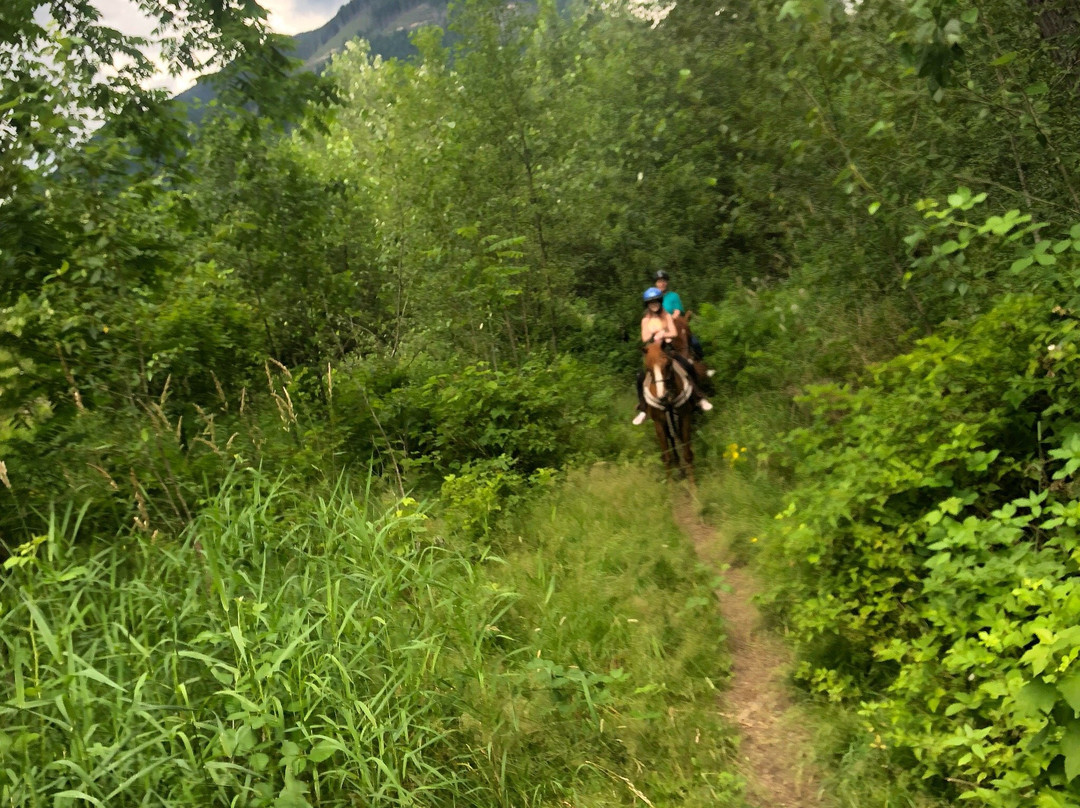 Mustang Riding Stables-米逊必去景点