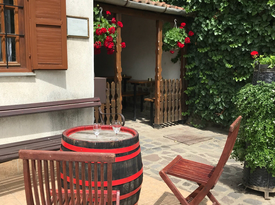 Erdős Pince - Borkatakomba-Tokaj必去景点