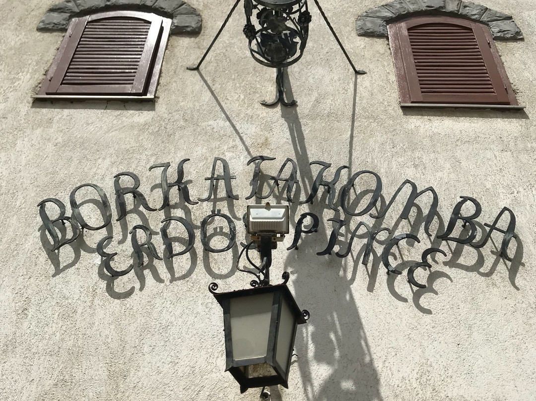 Erdős Pince - Borkatakomba-Tokaj必去景点