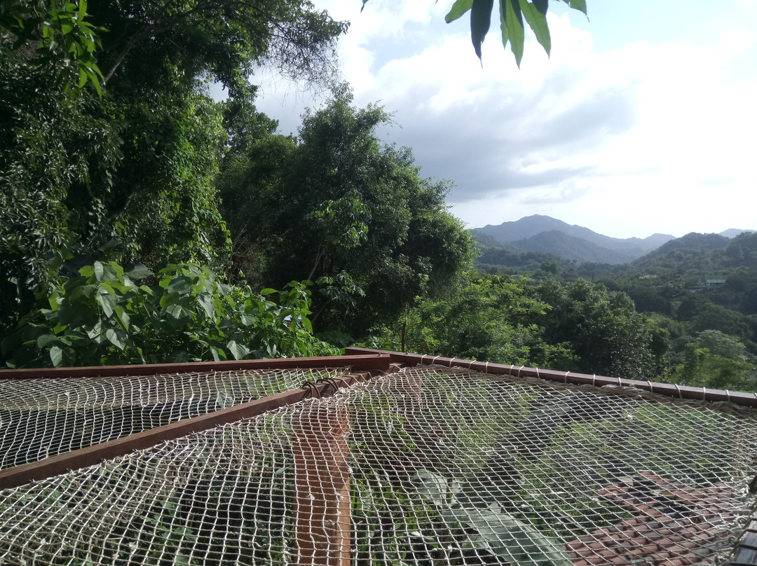 Casas Colibri Hotel Minca主图