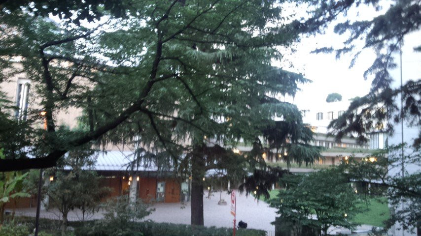 Sophia University-千代田区必去景点