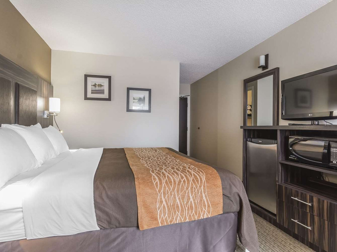 Comfort Inn Trenton Hotel主图