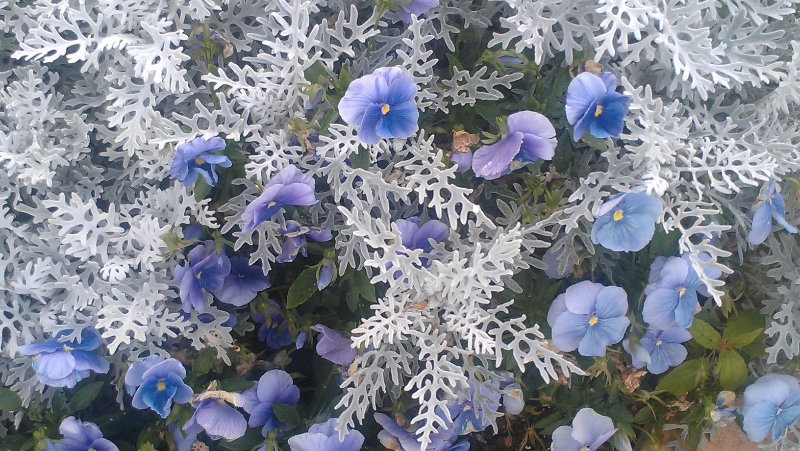 Indigo Sky Hotel-浴室