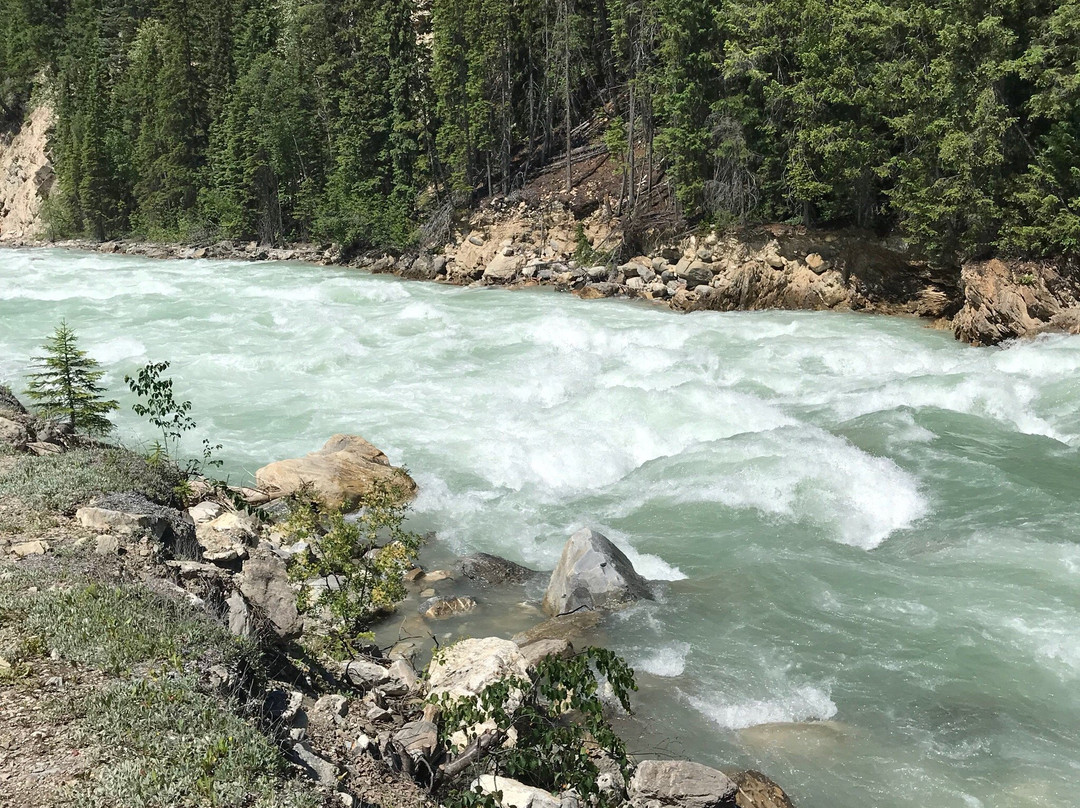 Awesome All Season Adventures-戈尔登必去景点