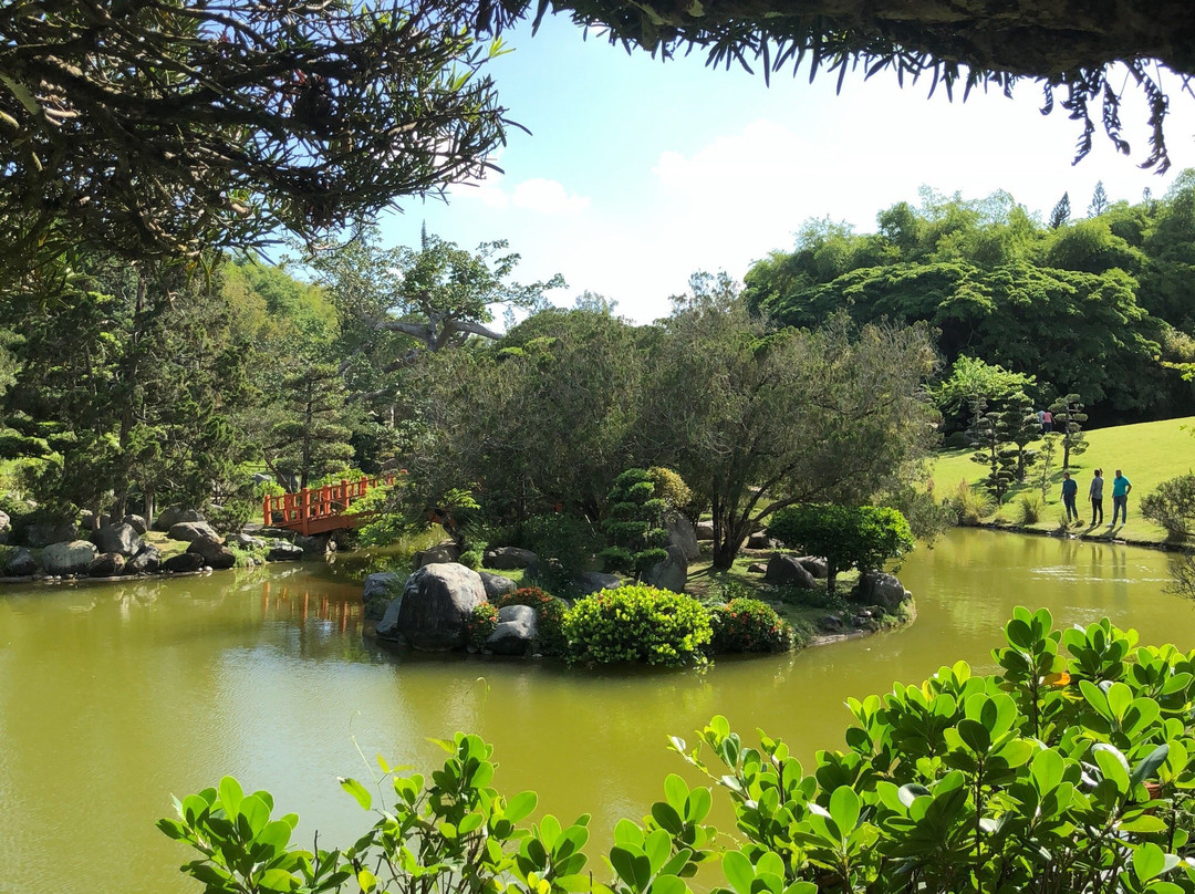 Jardin Botánico Nacional景点图片