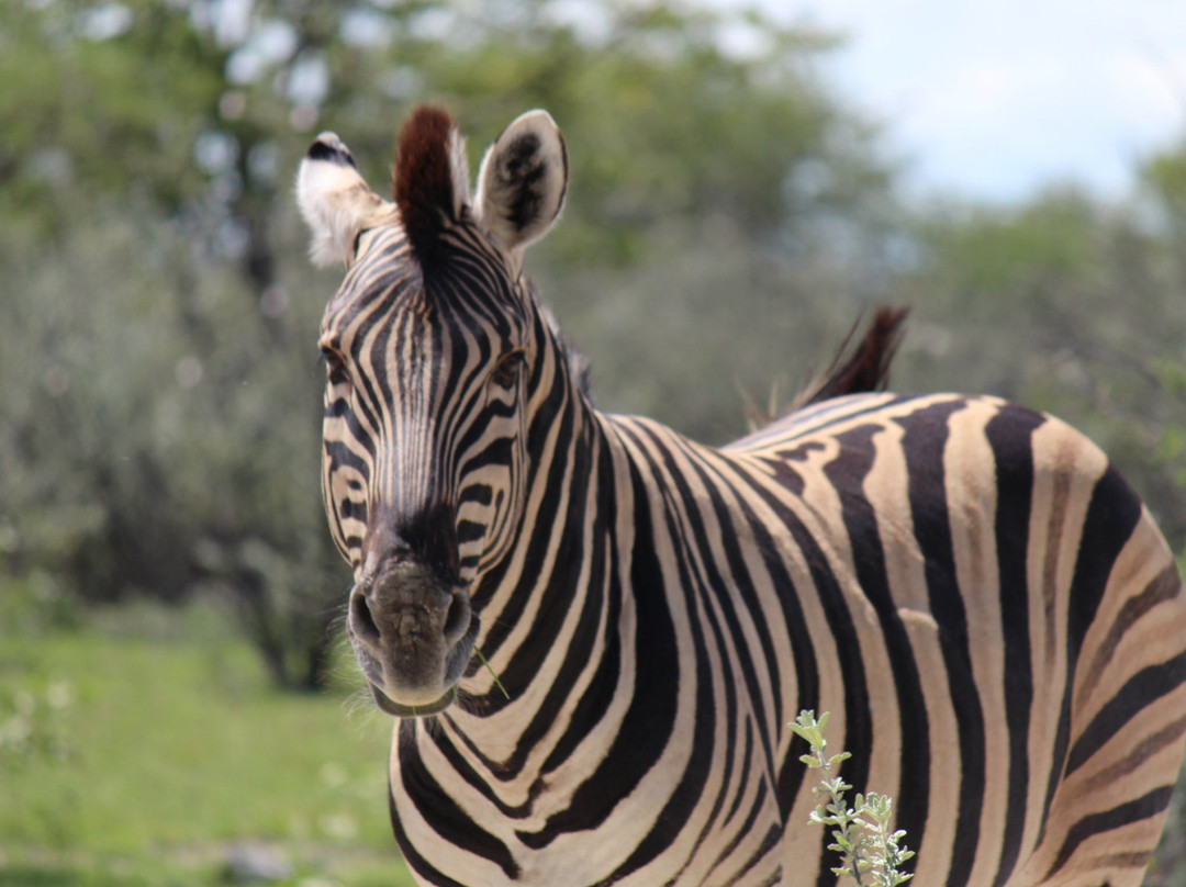 Zululand Explorers-圣露西亚必去景点