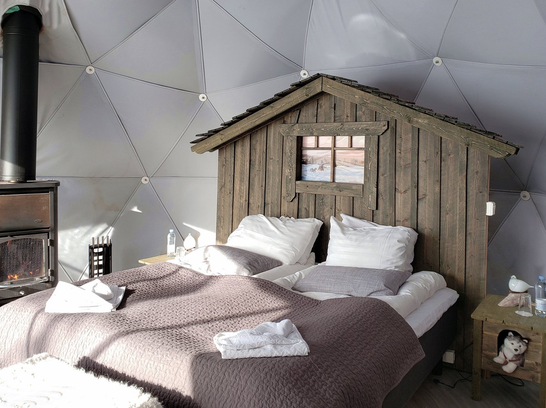 Aurora Dome