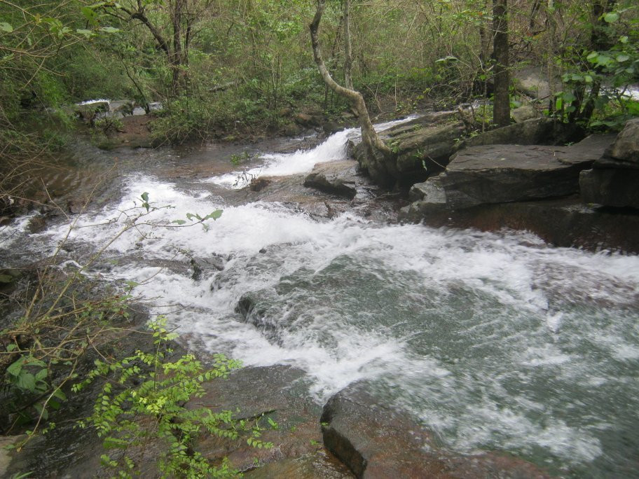 Pattathipara Waterfall景点图片