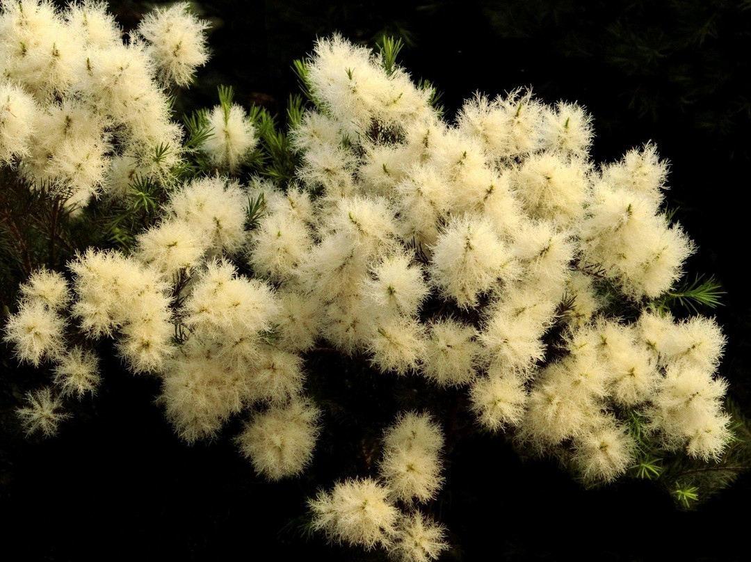 金佛山两江酒店主图