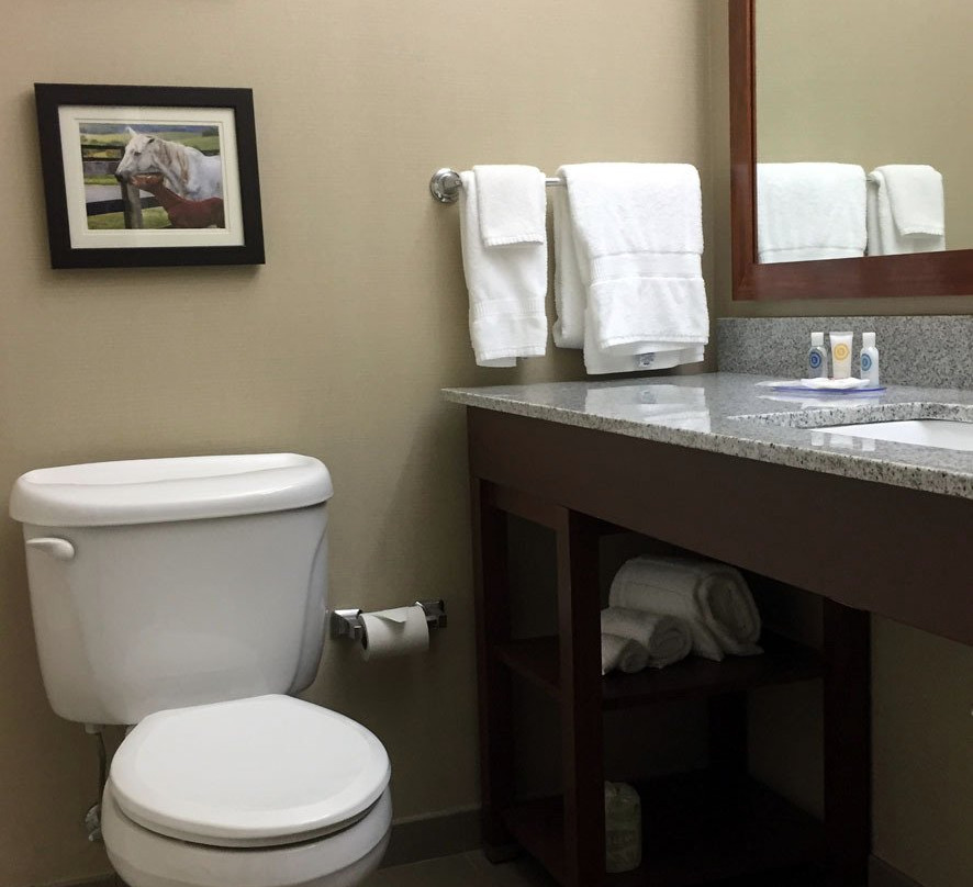 Comfort Inn & Suites Northern Kentucky主图