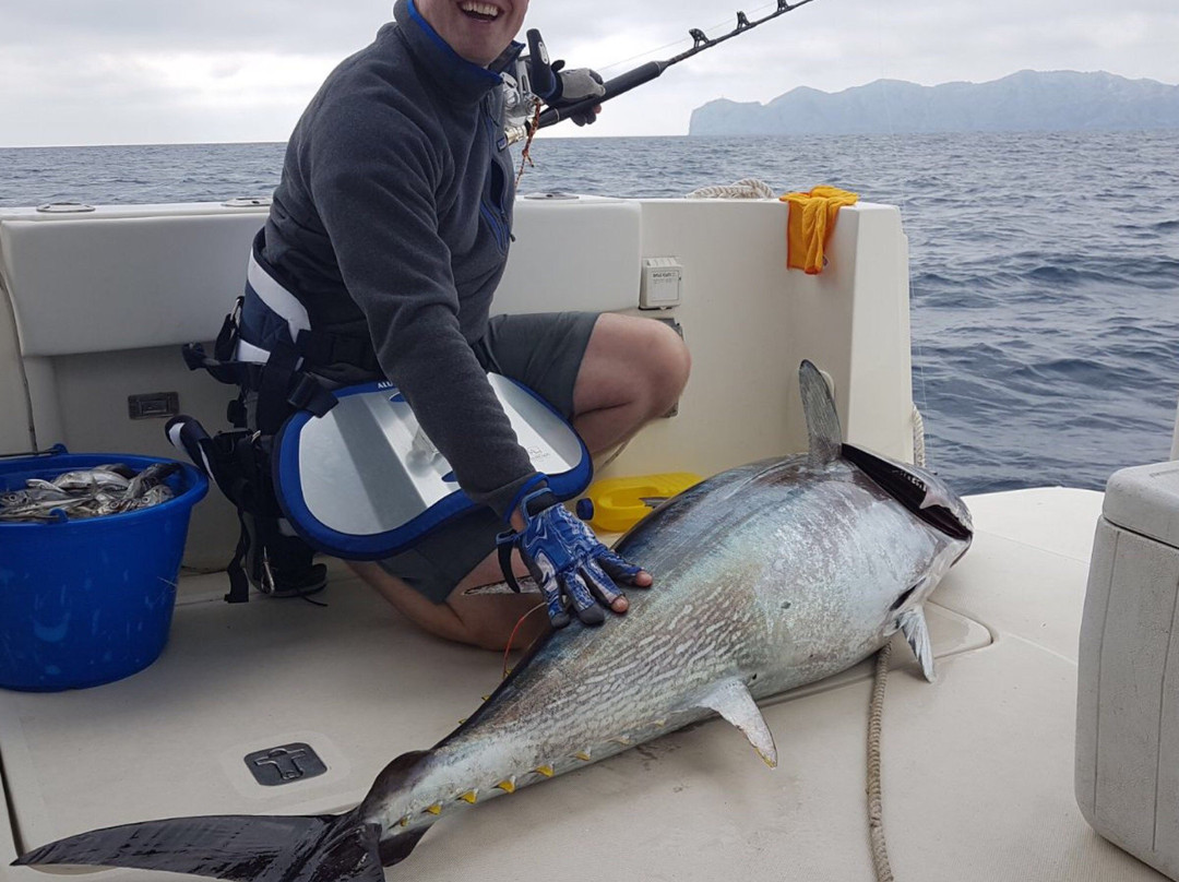 Fishing in Mallorca-El Toro必去景点