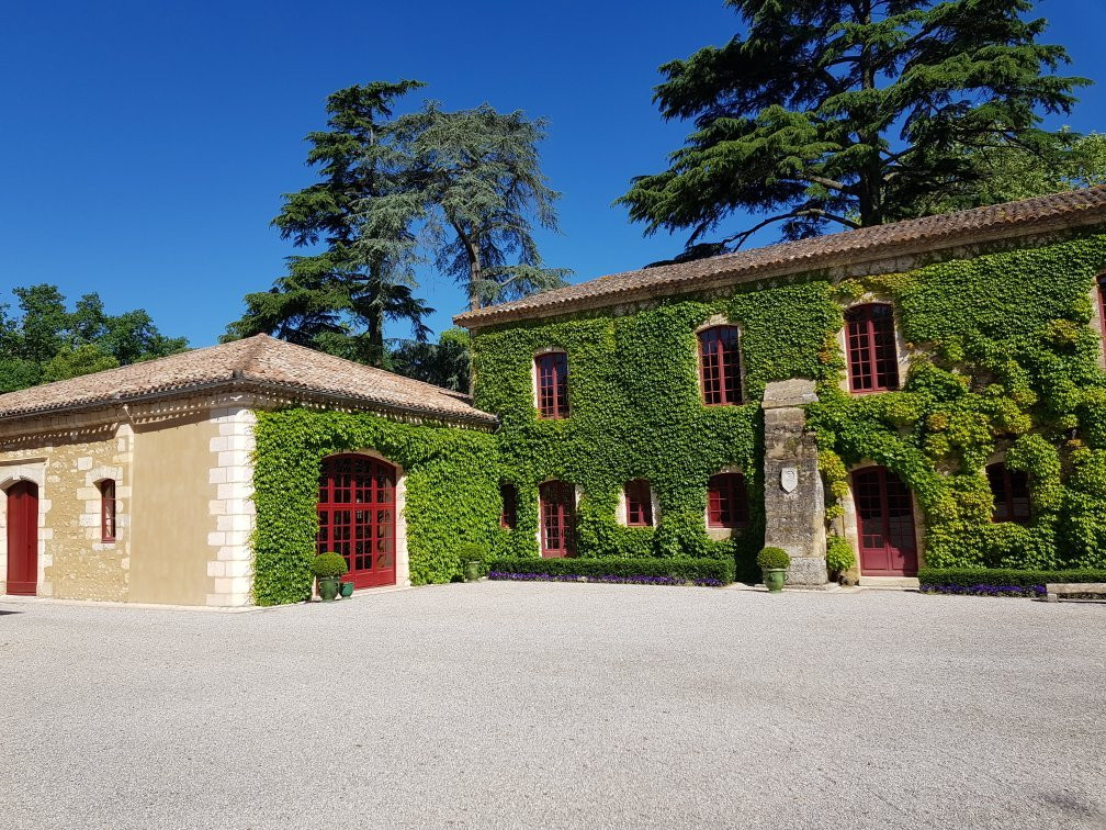 Château Carbonnieux景点图片