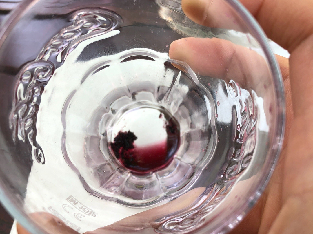 Frauenstein旅游攻略图片