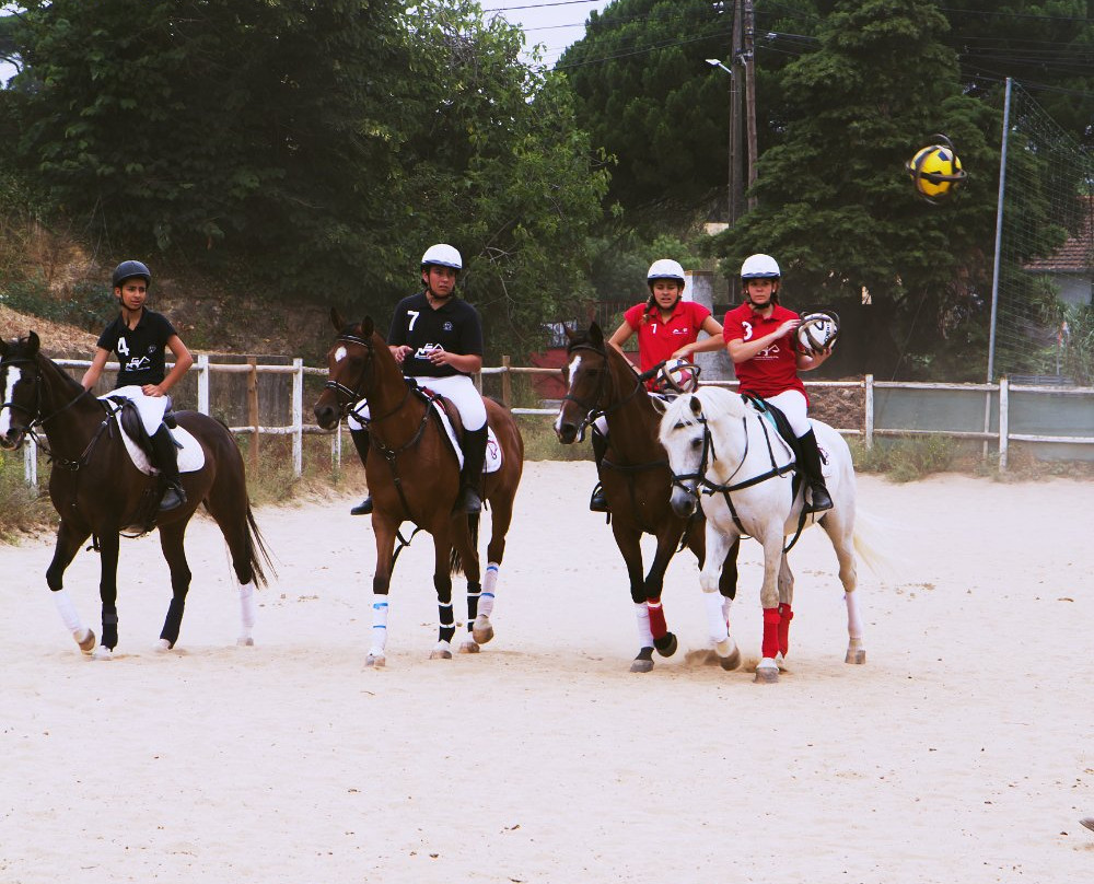 Clube Hipico Quinta de Santo Antonio景点图片