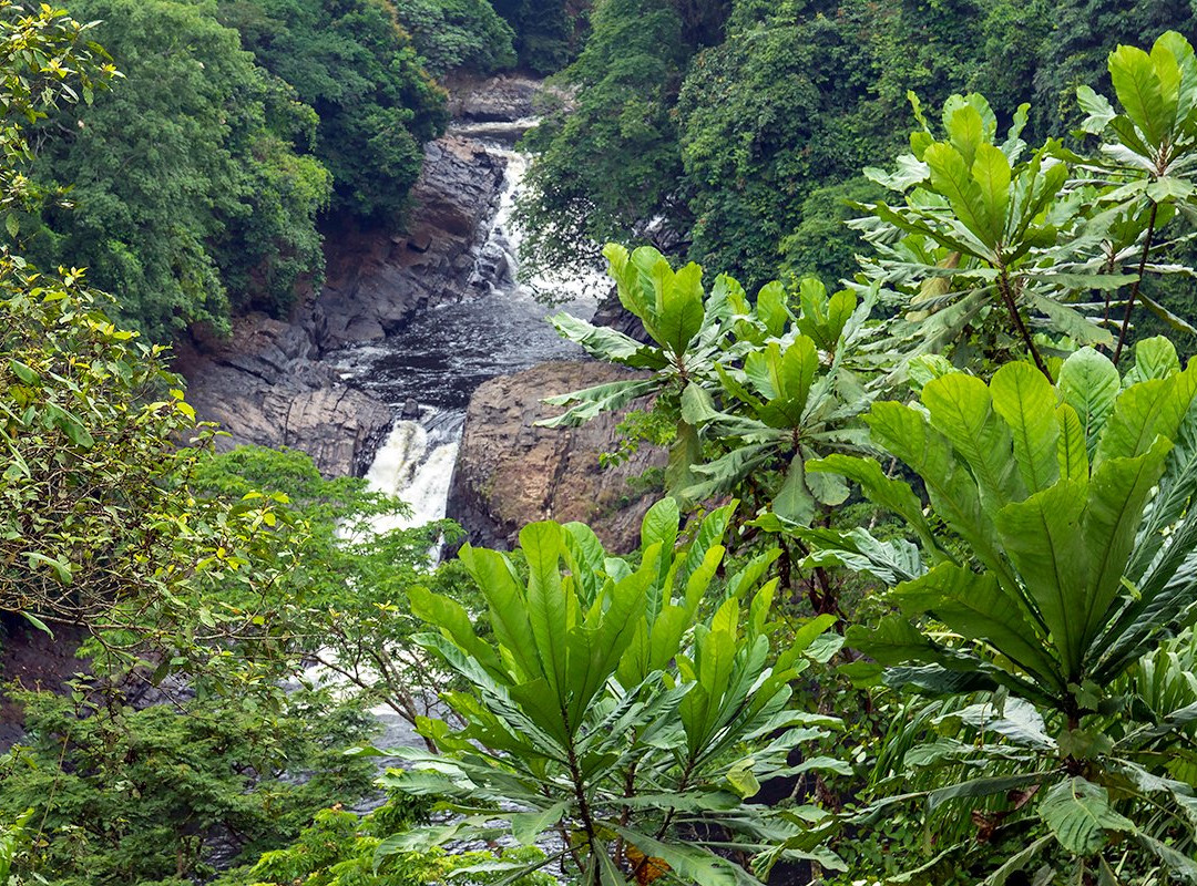 Kwa Falls景点图片