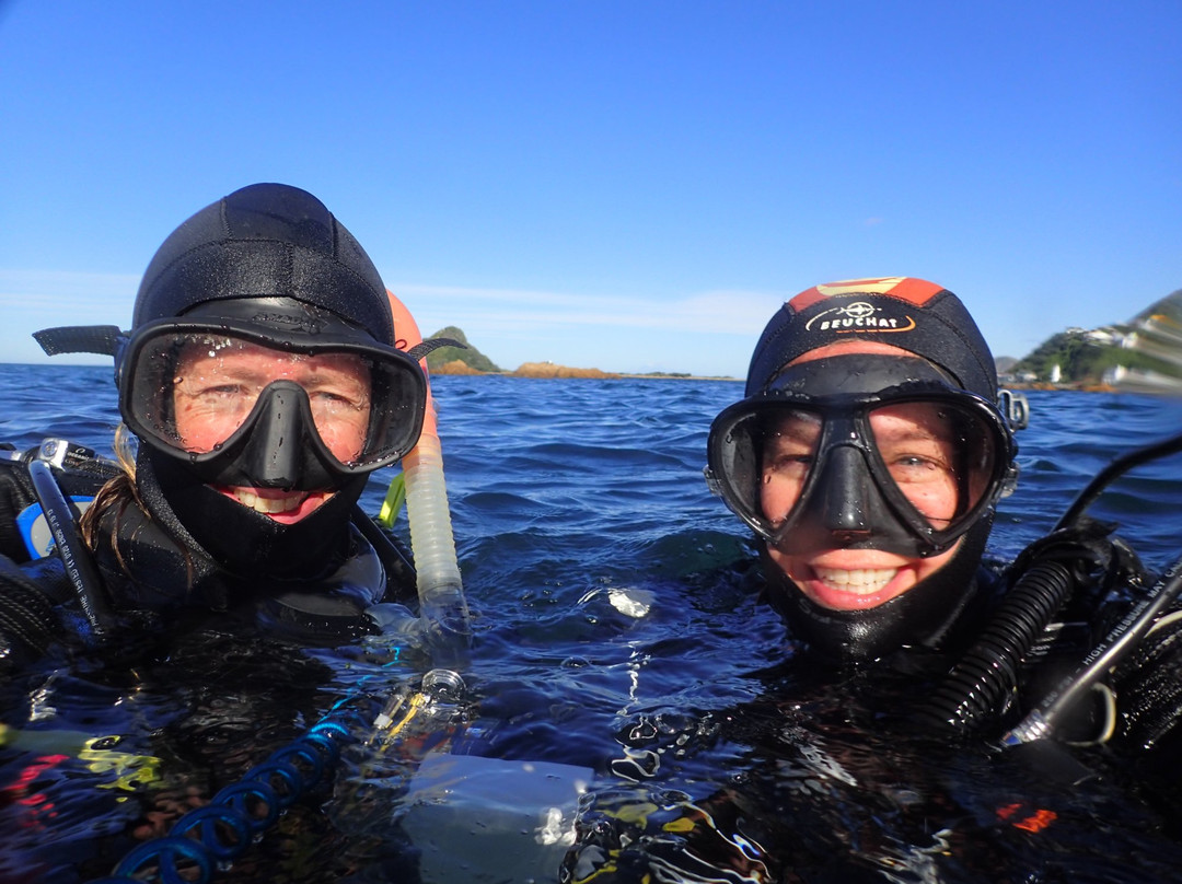 Dive HQ Wellington景点图片