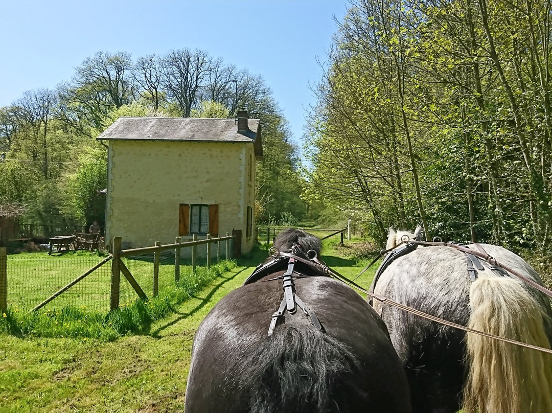Association Bellême Attelages-Saint-Martin-du-Vieux-Belleme必去景点
