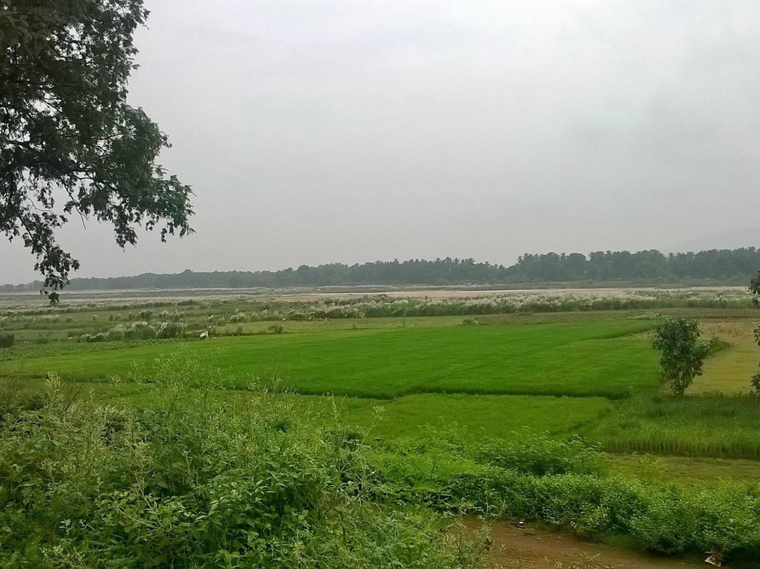 Sri Mukhalingeswara Temple-Srikakulam必去景点