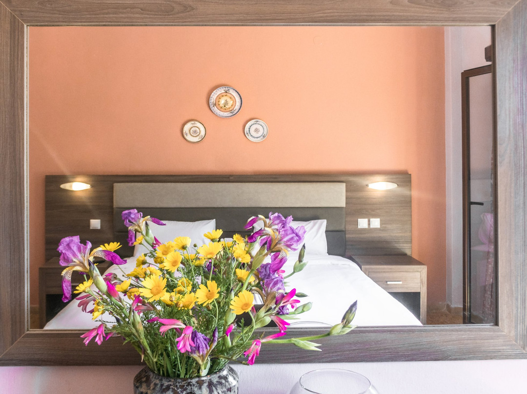 Mesagros酒店住宿-The Delfini Hotel