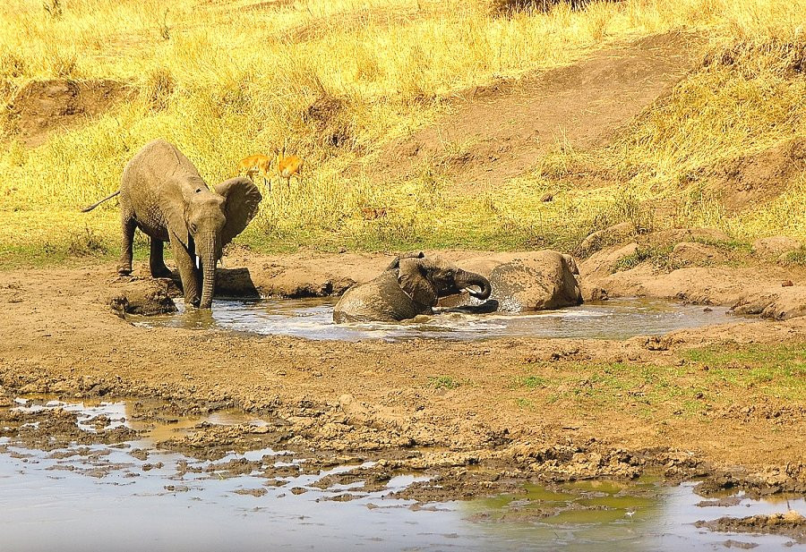 Wakawaka Adventures-卡拉图必去景点