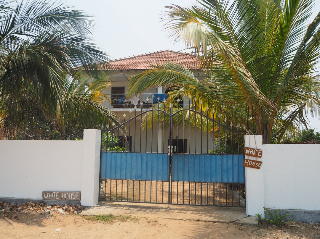 The White House主图