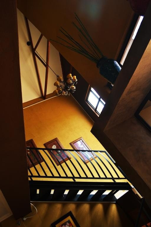 Amani Boutique Hotel & Conference Centre主图