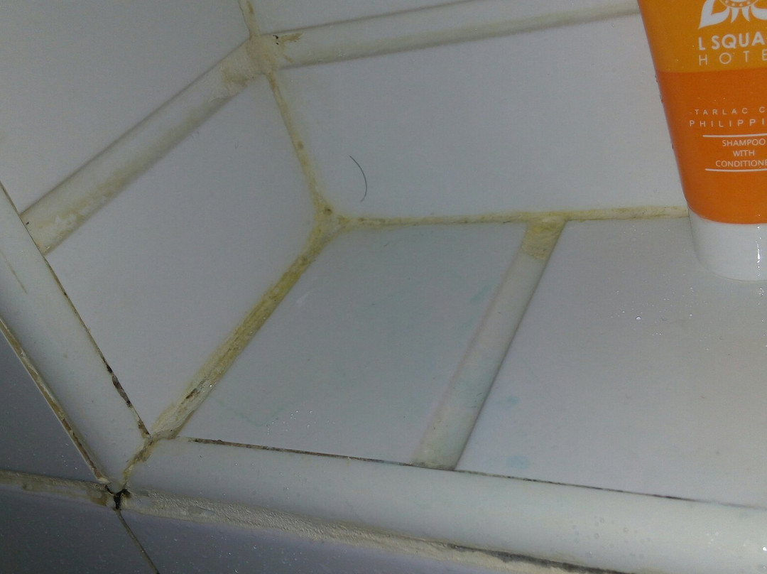 L Square Hotel主图