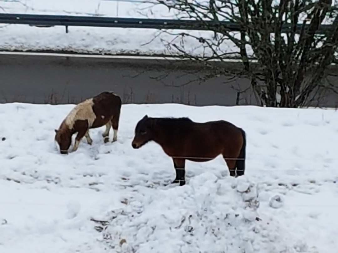 Gut Lilienfein主图