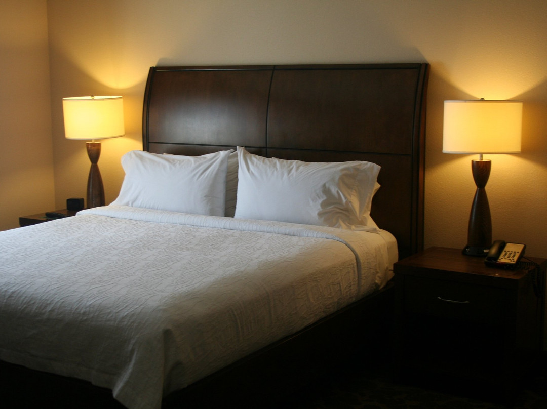 夏洛特/康科德希尔顿花园酒店主图