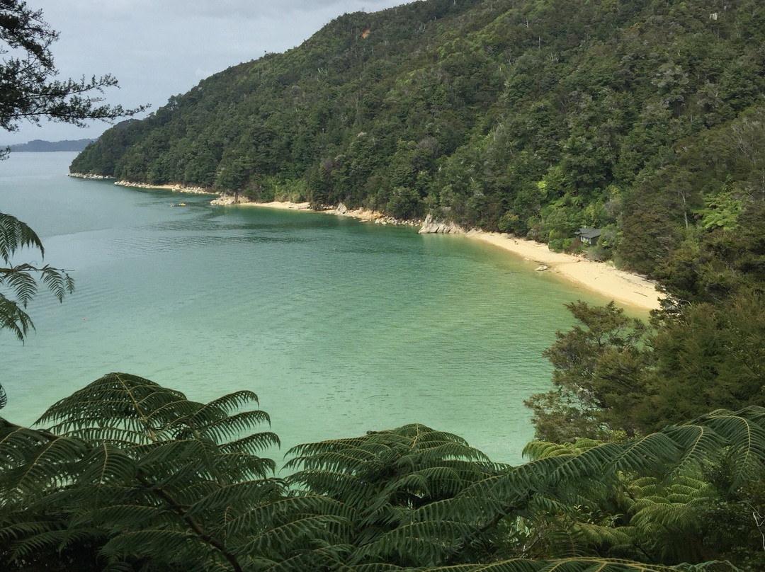 Tasman Bay Sea Kayaking Adventures景点图片