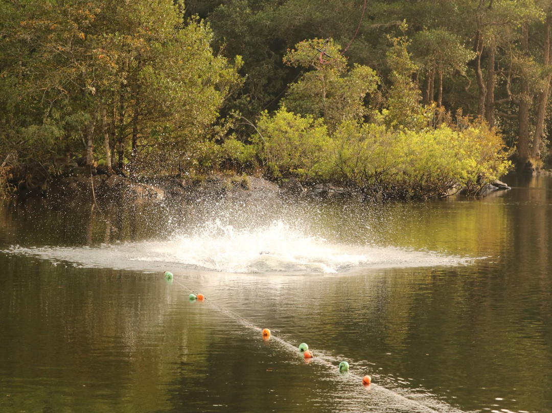 Whistling Woodzs Resort主图