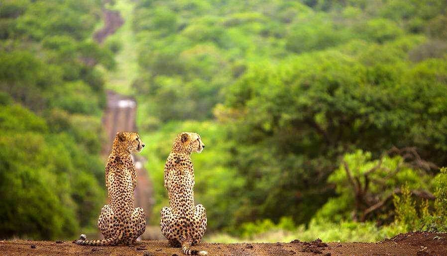 Wildtrek Tanzania Safaris-阿鲁沙必去景点