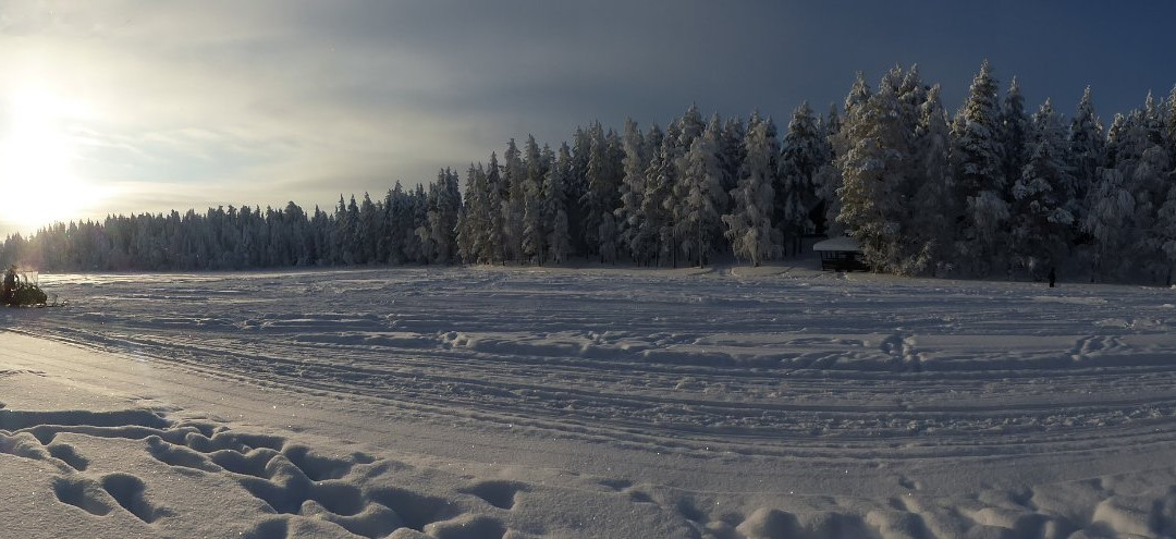 拉普兰熊之家酒店主图