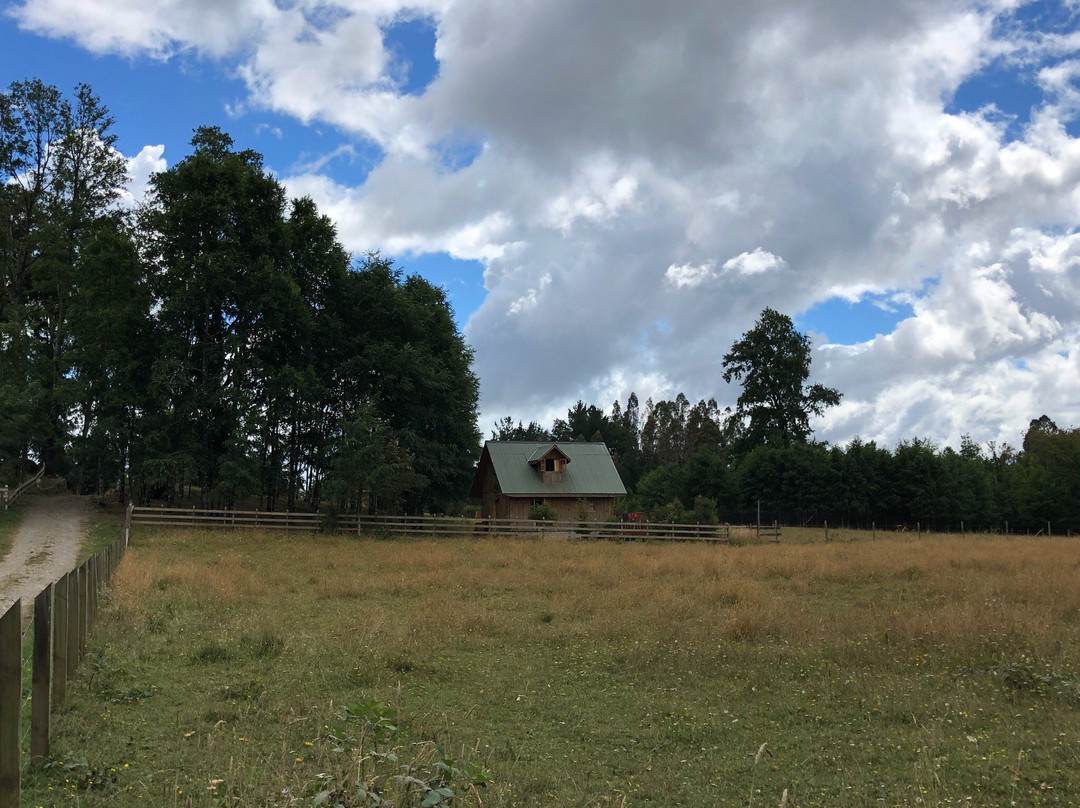 Granja Educativa de Villarrica El Dorado景点图片