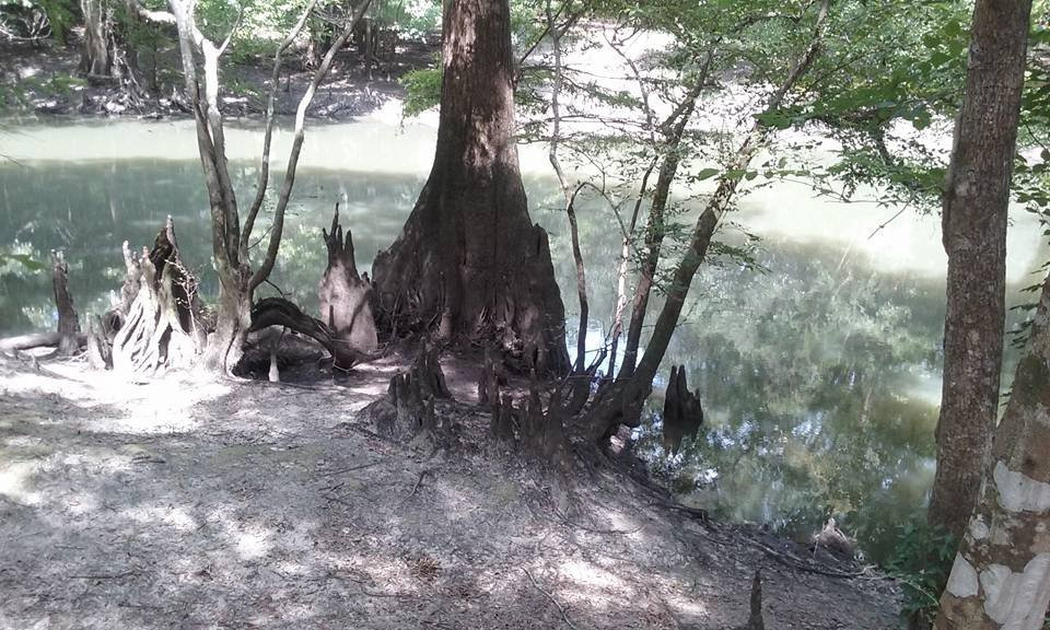 Bellamy Bridge Heritage Trail-Marianna必去景点