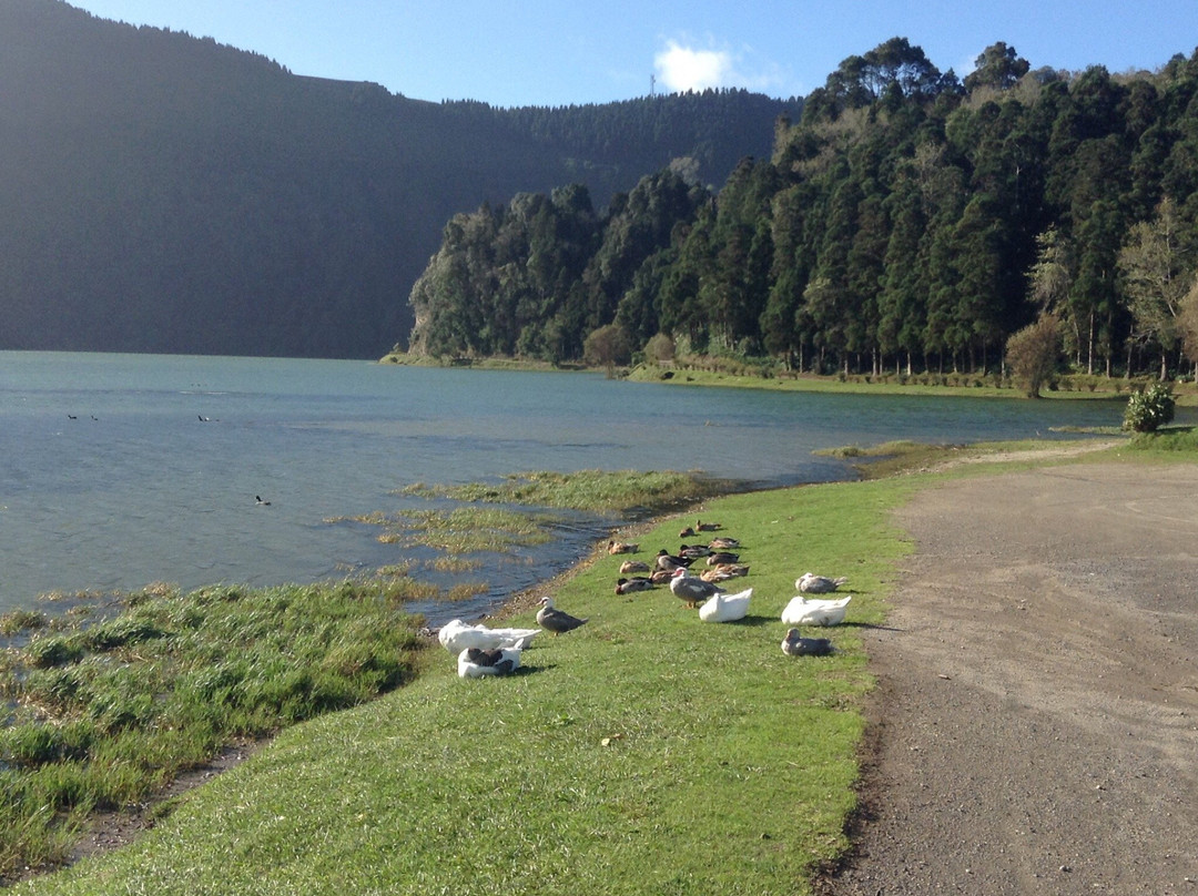 Complexo Ambiental da Lagoa das Sete Cidades景点图片