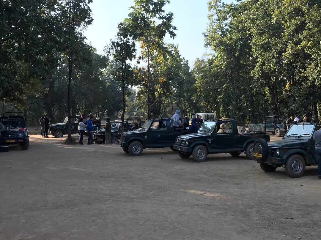 Bandhavgarh National Park景点图片