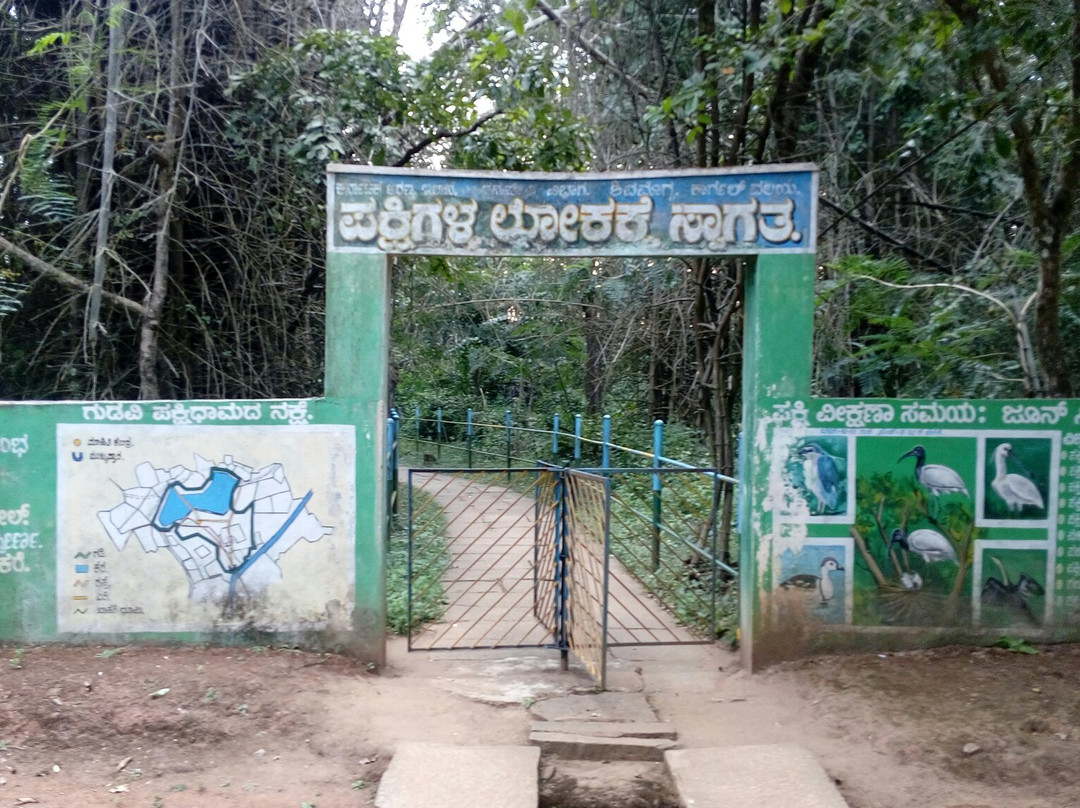 Gudavi Bird Sanctuary景点图片