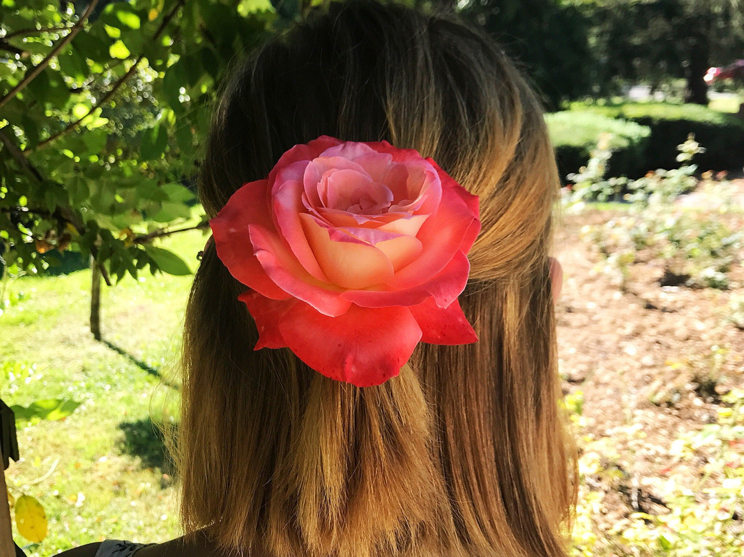 Rose Garden-里士满必去景点