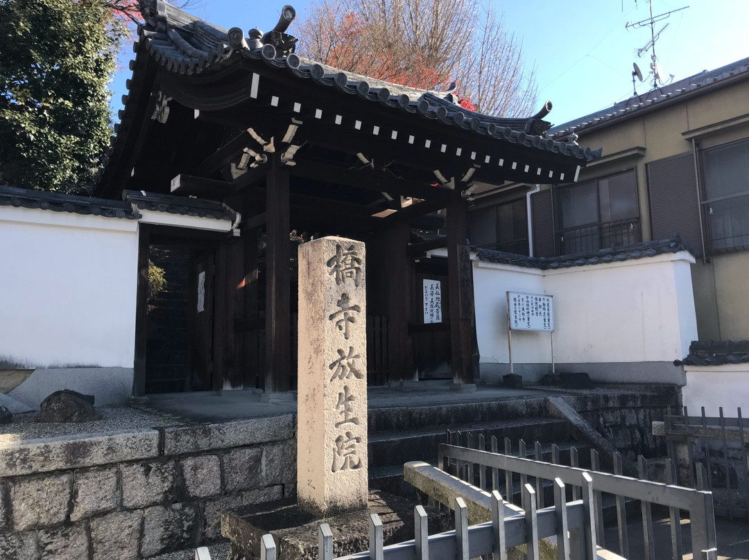 Hojo-in Temple-宇治市必去景点