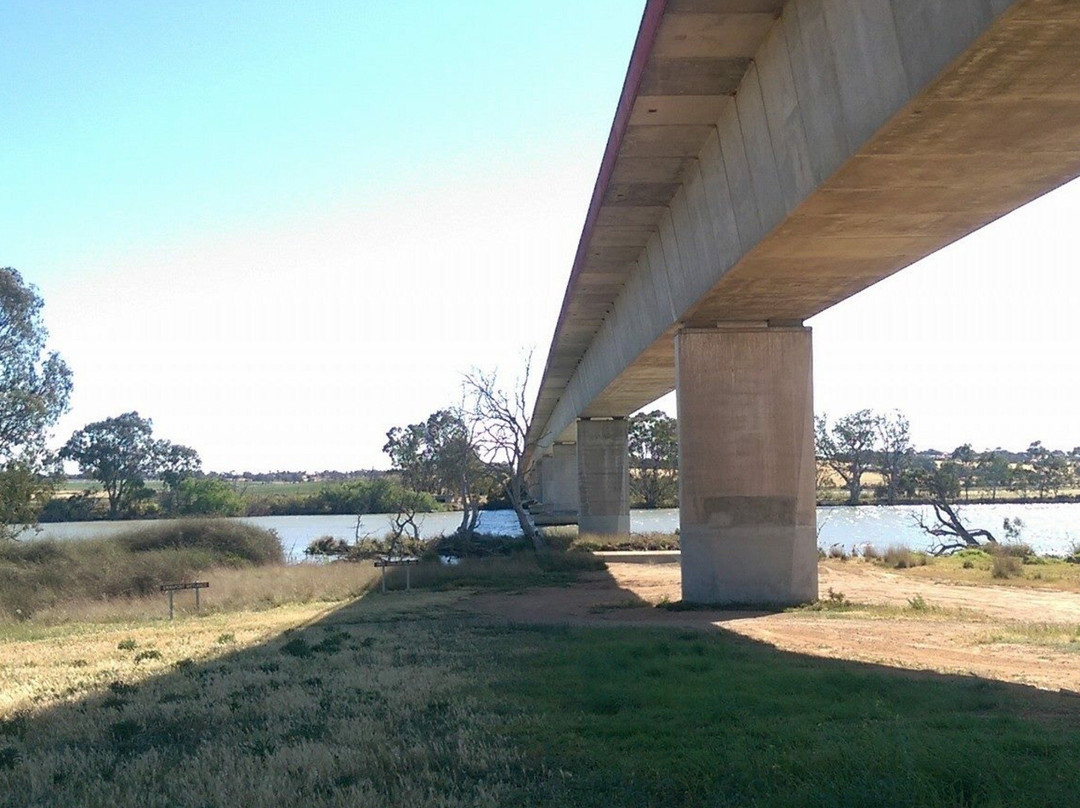 Swanport Wetlands景点图片