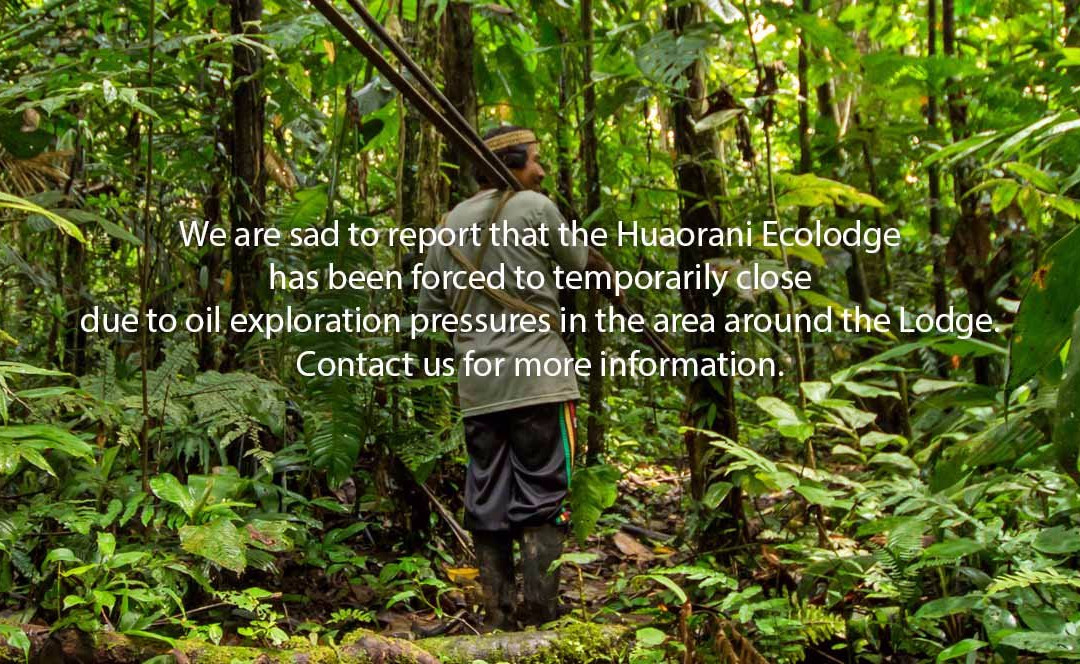 Huaorani Ecolodge