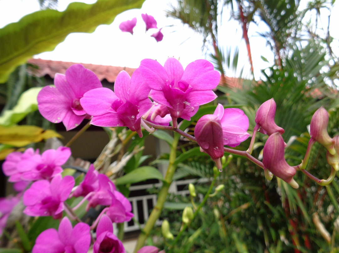 Hadsaengchan Resort Hotel主图