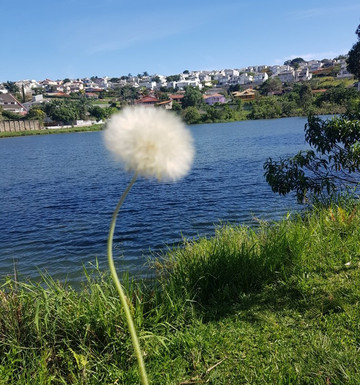 Lago do Orfeu-Braganca Paulista必去景点